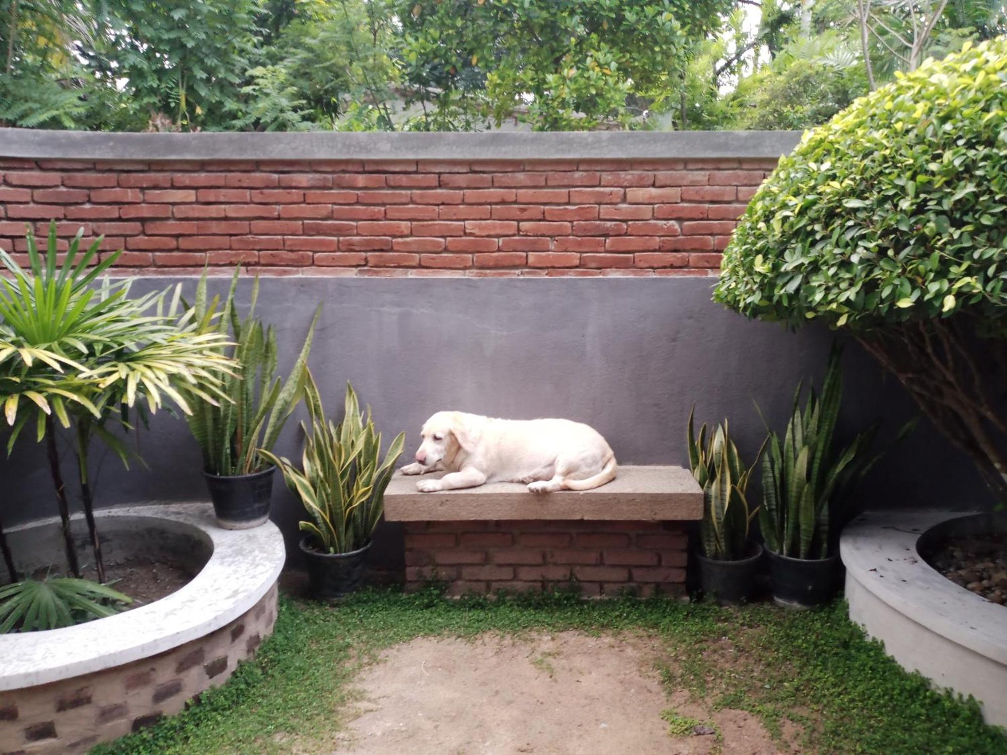 The Brick Wonder Hotel Habaraduwa Ngoại thất bức ảnh